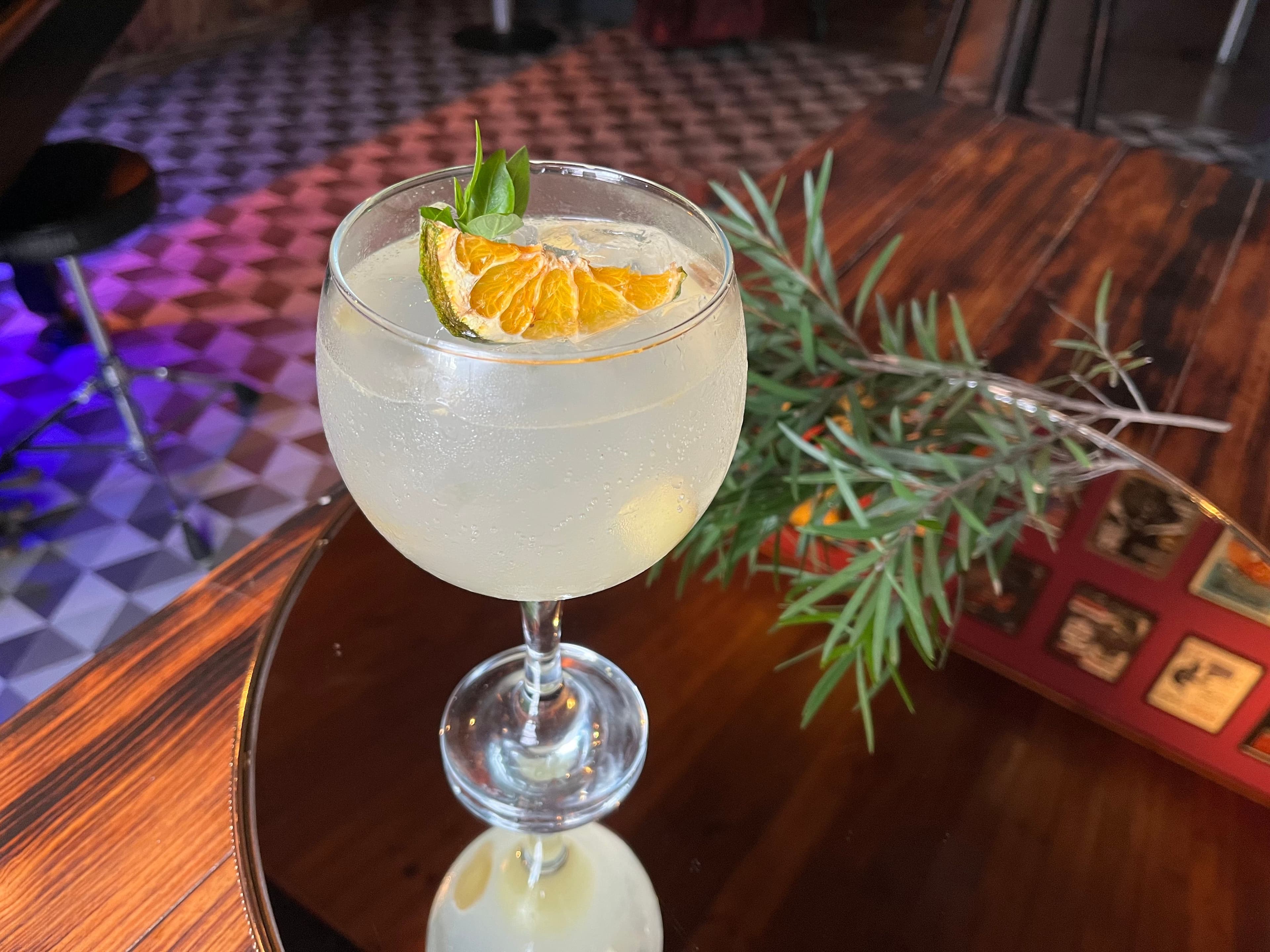 GINGER GIN TONIC