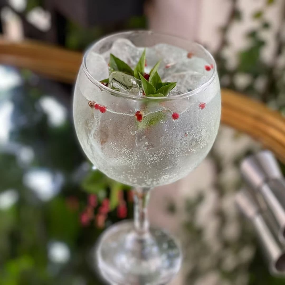 GREEN APPLE GIN TONIC
